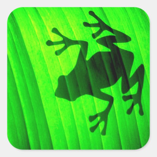 Tree Frog Quadratischer Aufkleber (Vorderseite)