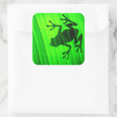 Tree Frog Quadratischer Aufkleber (Tasche)