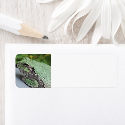 Tree Frog Return Labels (Insitu)
