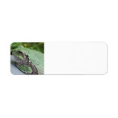 Tree Frog Return Labels (Vorne)