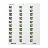 Tree Frog Return Labels (Vorne)