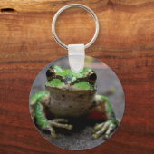 Tree Frog Schlüsselanhänger (Vorderseite)
