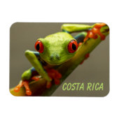 Tree Frog sieht Sie in Costa Rica an Magnet (Horizontal)