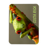 Tree Frog sieht Sie in Costa Rica an Magnet (Vertikal)