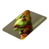 Tree Frog sieht Sie in Costa Rica an Magnet (Linke Seite)