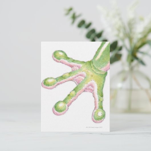 Tree Frog Toes Postkarte (Stehend Vorderseite)