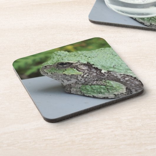 Tree Frog Untersetzer (Linke Seite)