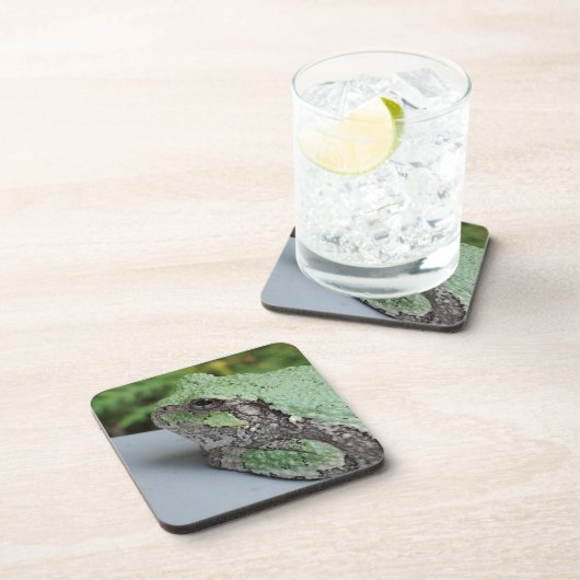 Tree Frog Untersetzer (Rechte Seite)