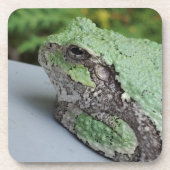 Tree Frog Untersetzer (Vorderseite)