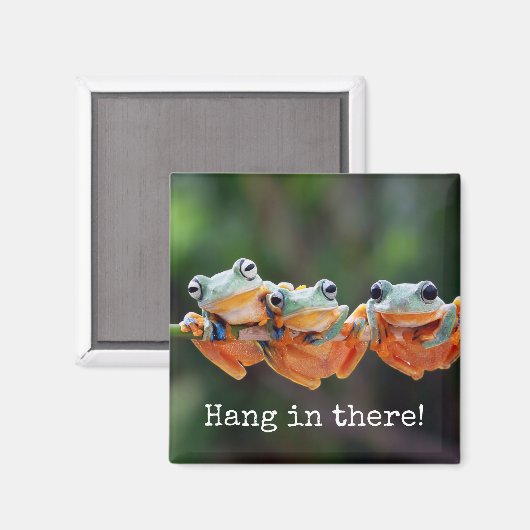 Tree Frogs Trio - Hang da drin Magnet (Vorderseite/Rückseite)