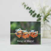 Tree Frogs Trio - Hang in There Postcard Postkarte (Stehend Vorderseite)