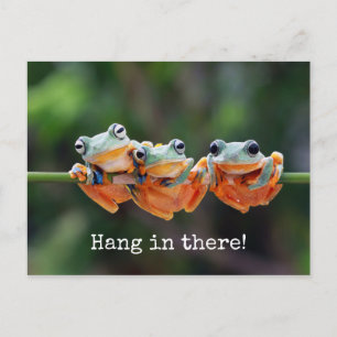 Tree Frogs Trio - Hang in There Postcard Postkarte