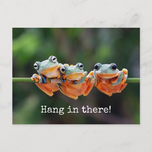 Tree Frogs Trio - Hang in There Postcard Postkarte (Vorderseite)