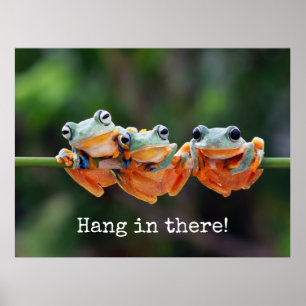 Tree Frogs Trio - Hang in There Poster