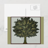 Tree Garden Card Postkarte (Vorne/Hinten)