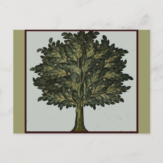 Tree Garden Card Postkarte (Vorderseite)