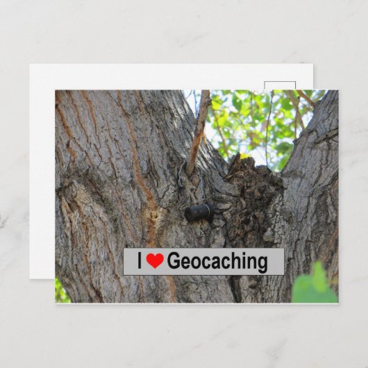Tree Hanger Cache: Geocaching Postkarte (Vorne/Hinten)