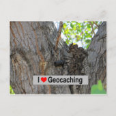 Tree Hanger Cache: Geocaching Postkarte (Vorderseite)