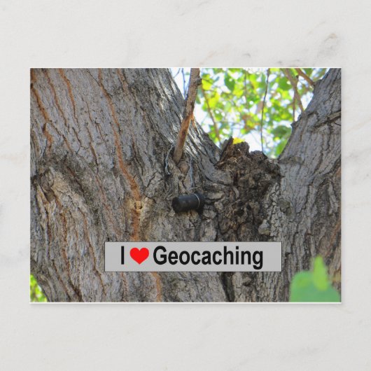 Tree Hanger Cache: Geocaching Postkarte (Vorderseite)