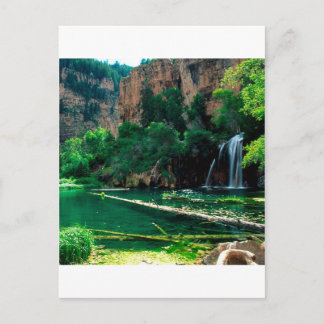 Tree Hanging Lake Glenwood Canyon Postkarte