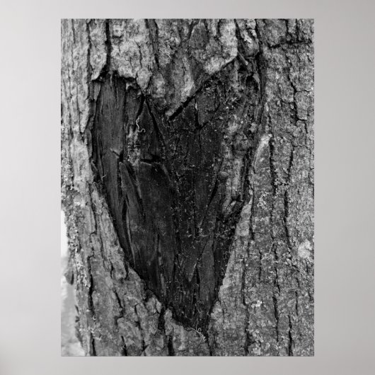 Tree Heart Carving Poster (Vorne)