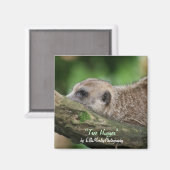 Tree Hugger Magnet (Vorderseite/Rückseite)