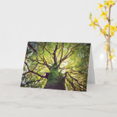 Tree Hugging Karte (Gelbe Blume)