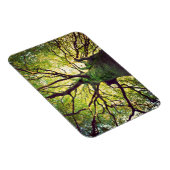 Tree Hugging Magnet (Rechte Seite)