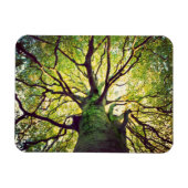 Tree Hugging Magnet (Horizontal)