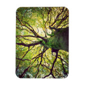 Tree Hugging Magnet (Vertikal)