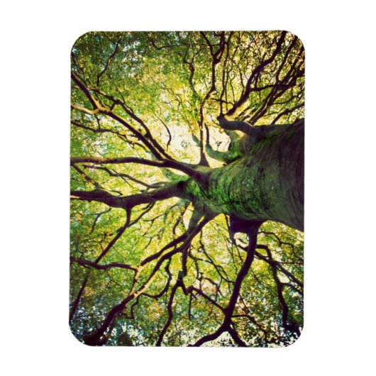 Tree Hugging Magnet (Vertikal)