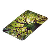 Tree Hugging Magnet (Linke Seite)