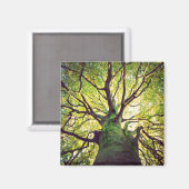 Tree Hugging Magnet (Vorderseite/Rückseite)