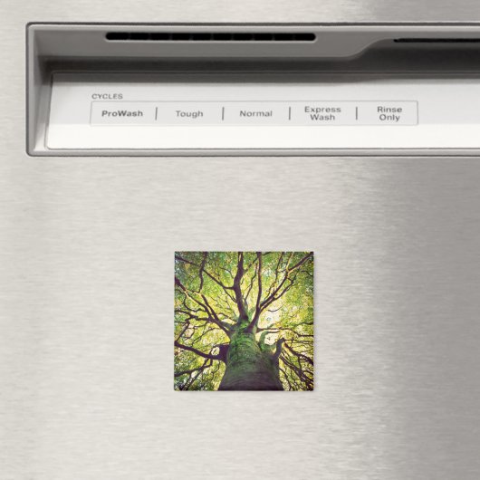 Tree Hugging Magnet (In Situ (Geschirrspüler))