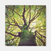 Tree Hugging Magnet (Vorne)