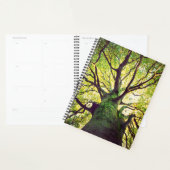 Tree Hugging Planer (Anzeige)