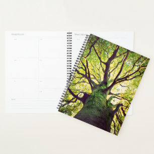 Tree Hugging Planer