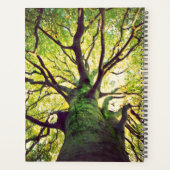 Tree Hugging Planer (Rückseite)