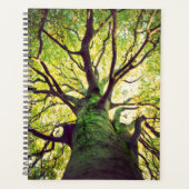 Tree Hugging Planer (Vorderseite)