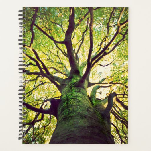 Tree Hugging Planer (Vorderseite)