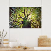 Tree Hugging Poster (Küche)
