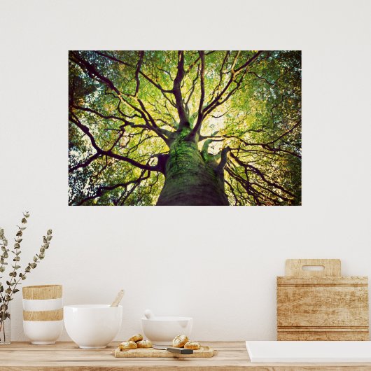 Tree Hugging Poster (Küche)