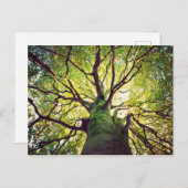 Tree Hugging Postkarte (Vorne/Hinten)