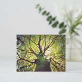 Tree Hugging Postkarte (Stehend Vorderseite)