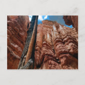 Tree-in-a-tree Navajo Loop am Bryce Canyon Postkarte (Vorderseite)