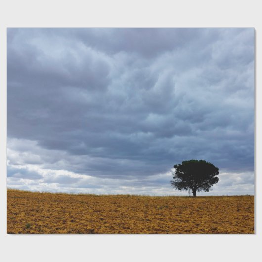 Tree in an empty field geschenkpapier (Flach)