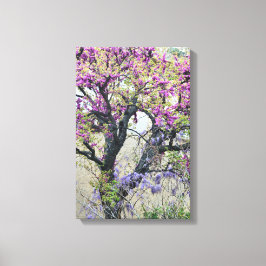 Tree in bloom in Provence Leinwanddruck