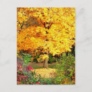 Tree in Gold Postkarte