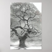 Tree in Schatten von Grau Poster (Vorne)