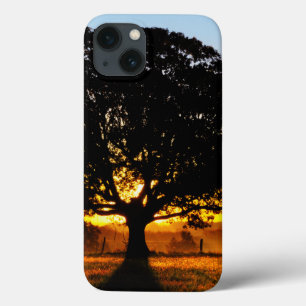 Tree in the Morning Case-Mate iPhone Hülle